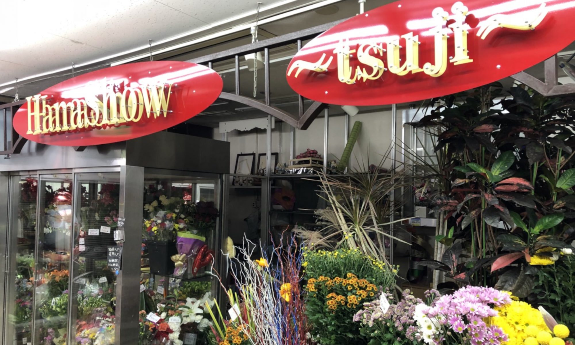 季節の花